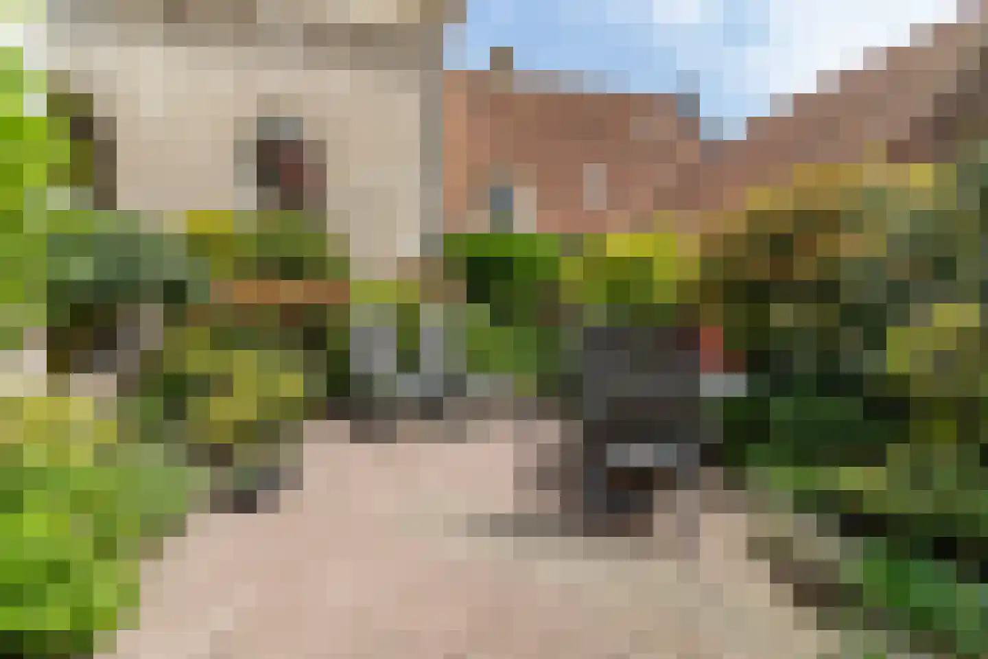 Jufferenstraat 7 Elburg thumbnail 53