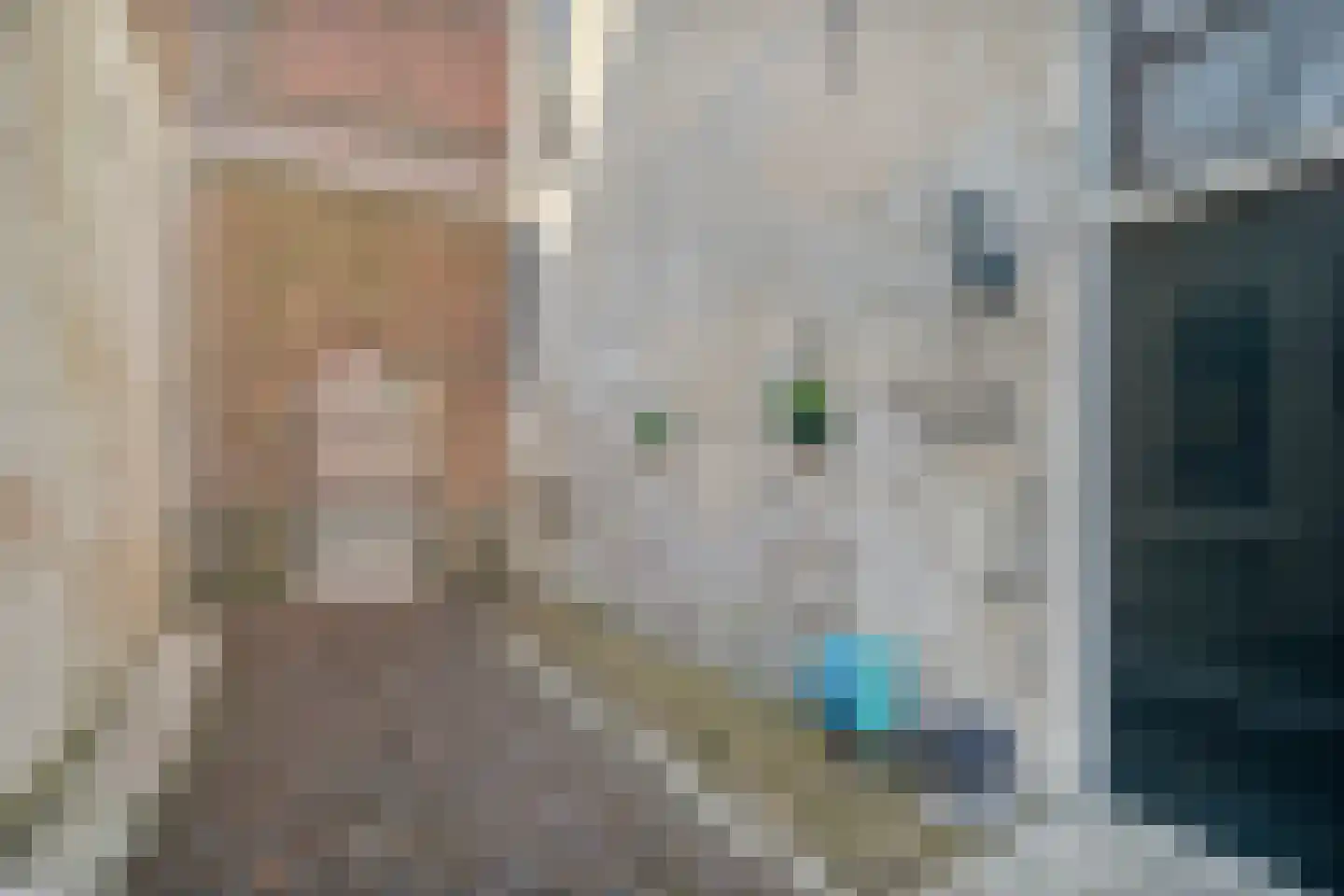 Jufferenstraat 7 Elburg thumbnail 57