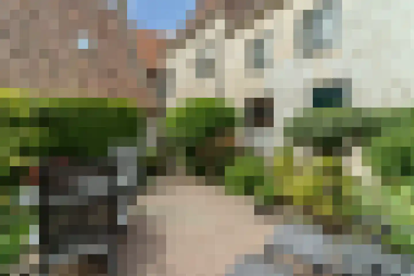 Jufferenstraat 7 Elburg thumbnail 62
