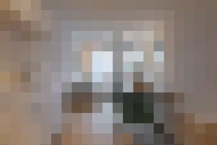 Jufferenwal 1 E Zwolle thumbnail 10
