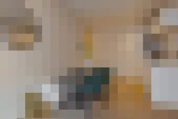 Jufferenwal 1 E Zwolle thumbnail 11