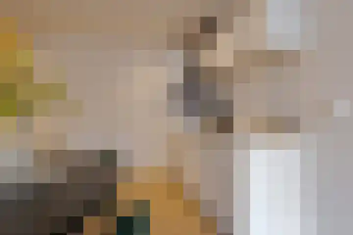 Jufferenwal 1 E Zwolle thumbnail 13