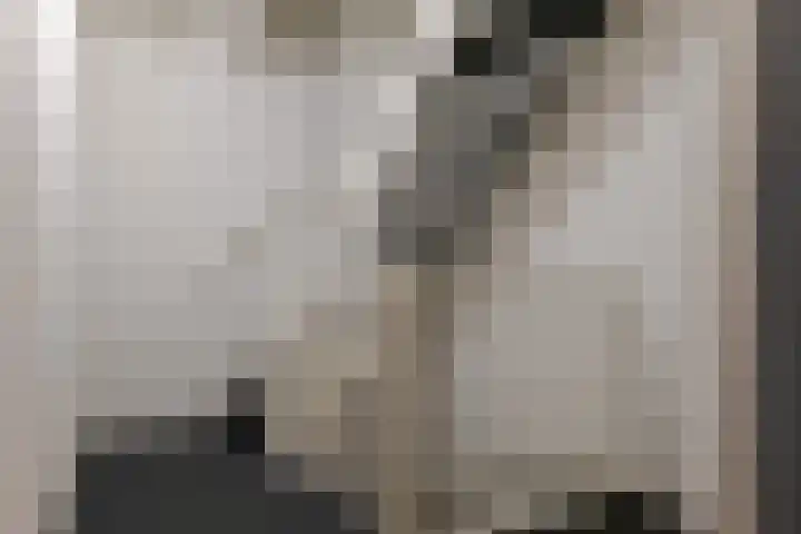 Jufferenwal 1 E Zwolle thumbnail 26