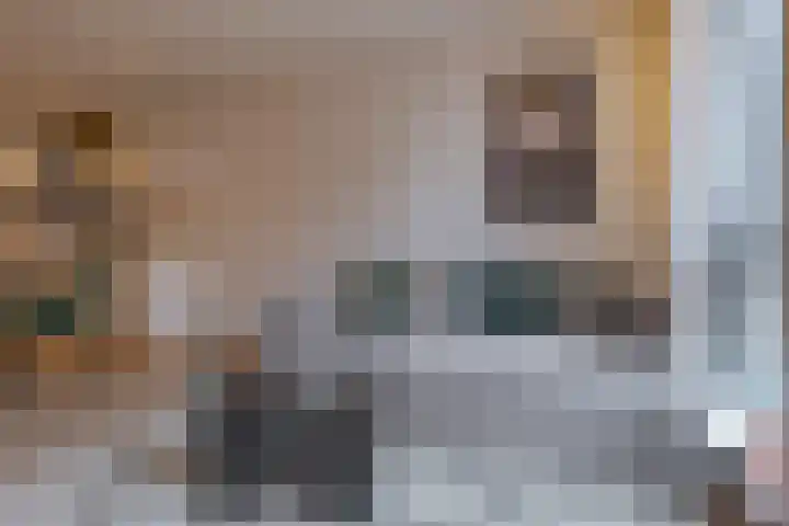 Jufferenwal 1 E Zwolle thumbnail 7