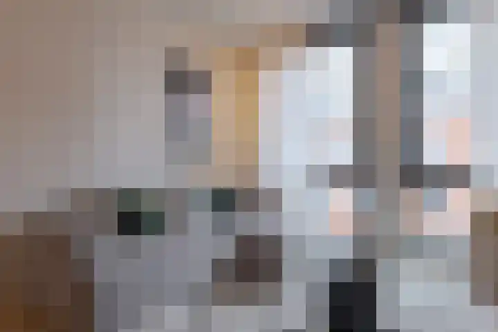 Jufferenwal 1 E Zwolle thumbnail 9