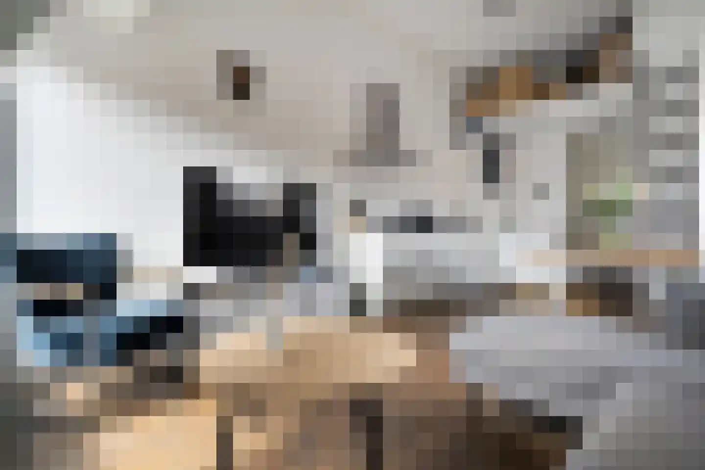 Jufferenwal 1 F Zwolle thumbnail 11