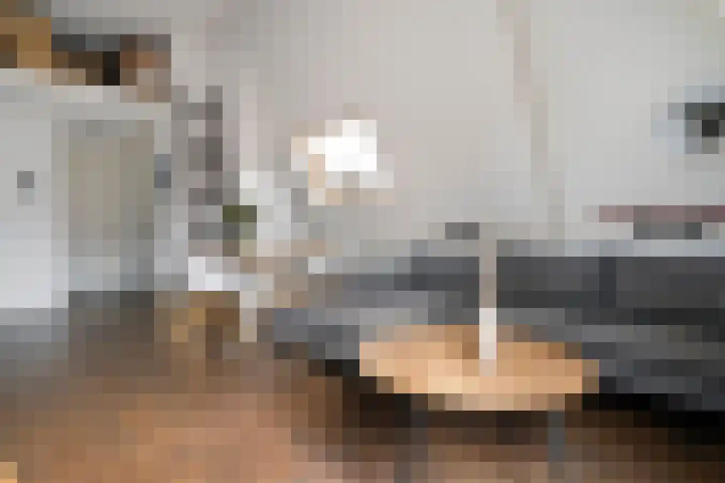 Jufferenwal 1 F Zwolle thumbnail 12