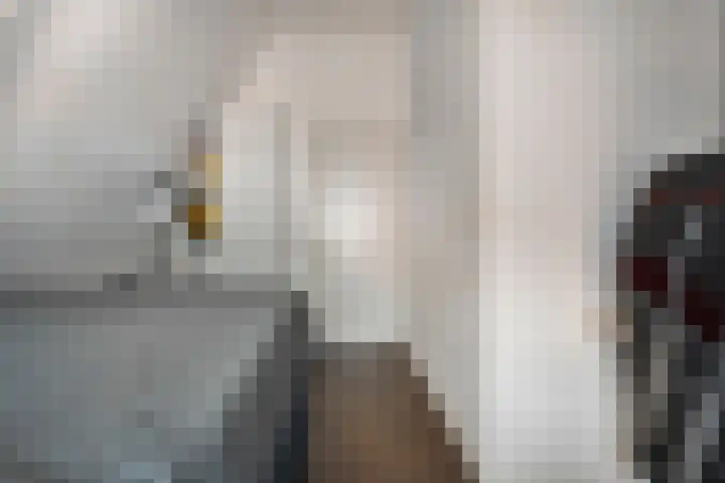 Jufferenwal 1 F Zwolle thumbnail 15