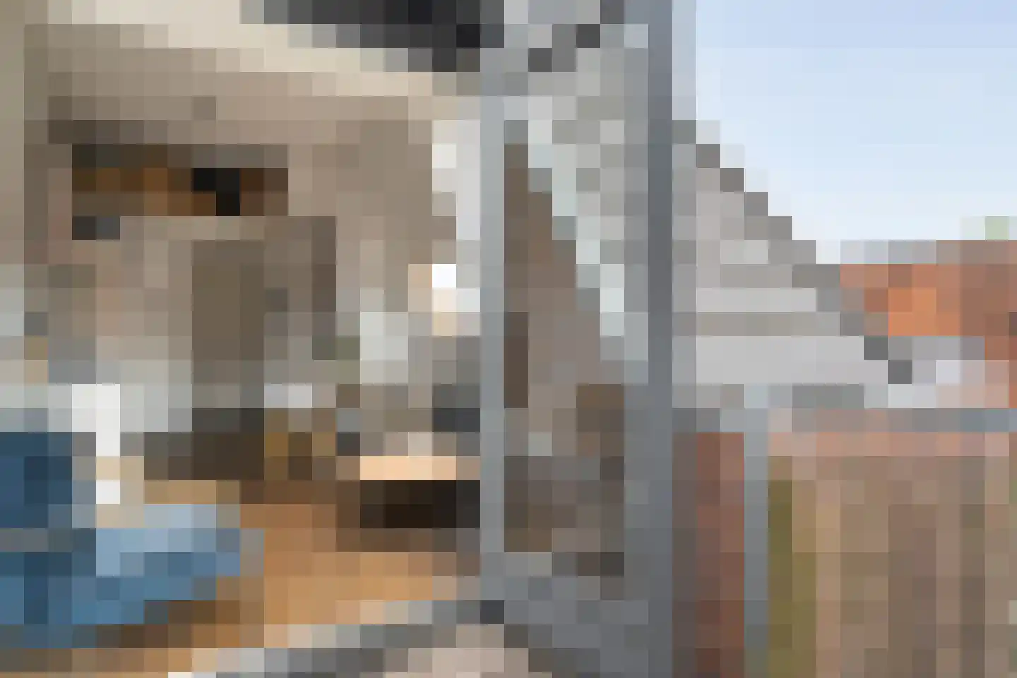 Jufferenwal 1 F Zwolle thumbnail 18