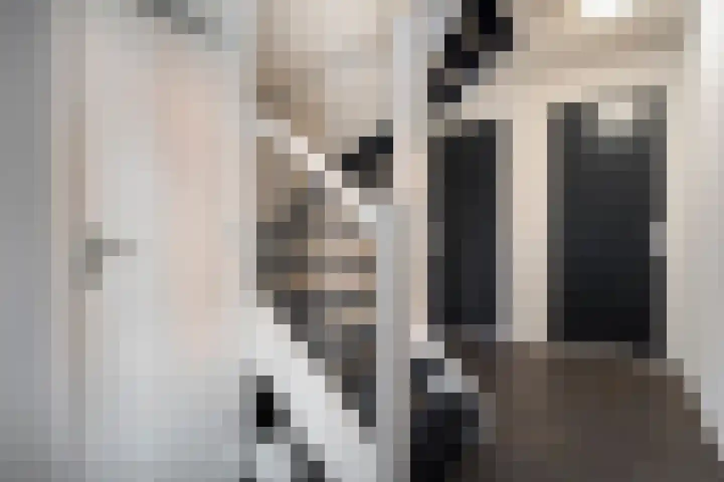Jufferenwal 1 F Zwolle thumbnail 20