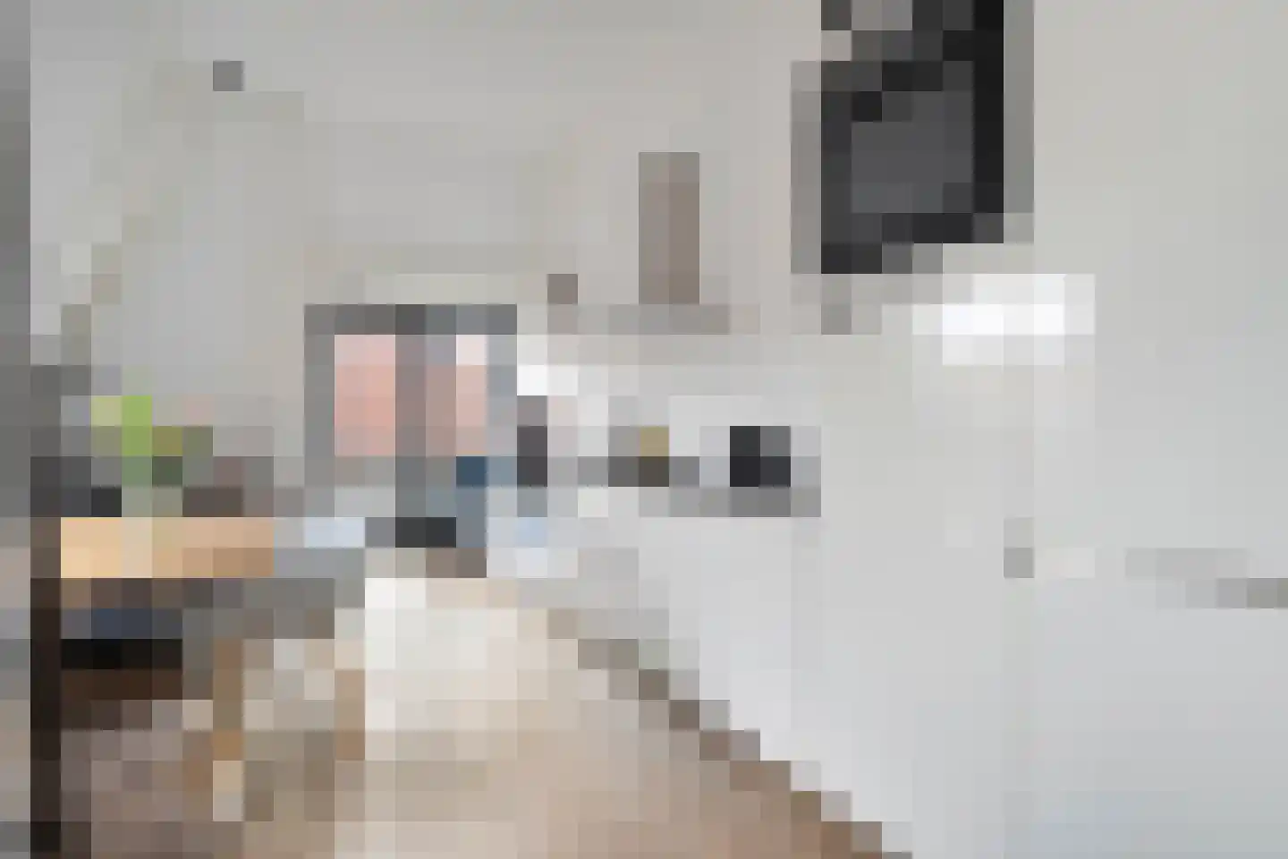 Jufferenwal 1 F Zwolle thumbnail 6