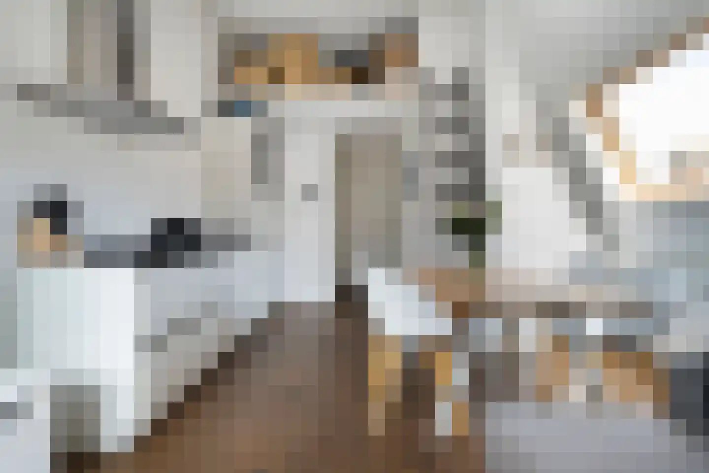 Jufferenwal 1 F Zwolle thumbnail 9