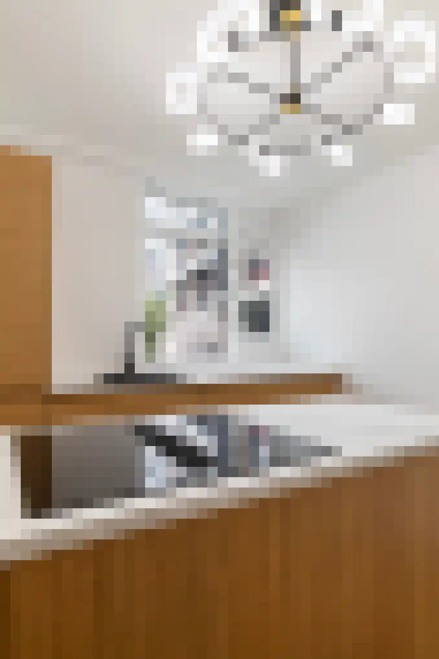 Jufferkade 14 Rotterdam thumbnail 7