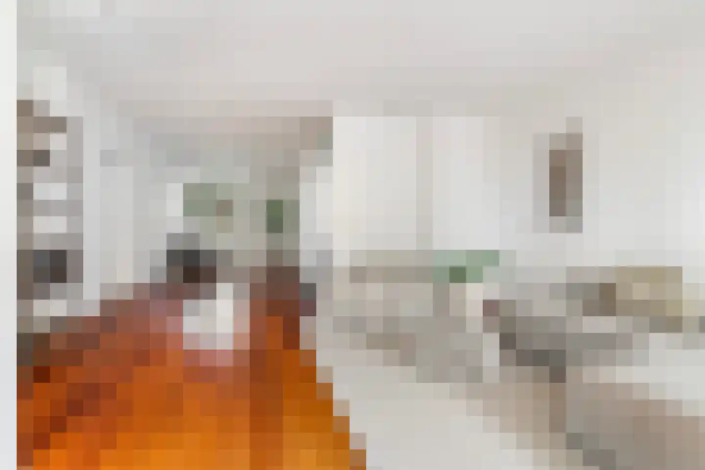 Jufferkade 19 Rotterdam thumbnail 4