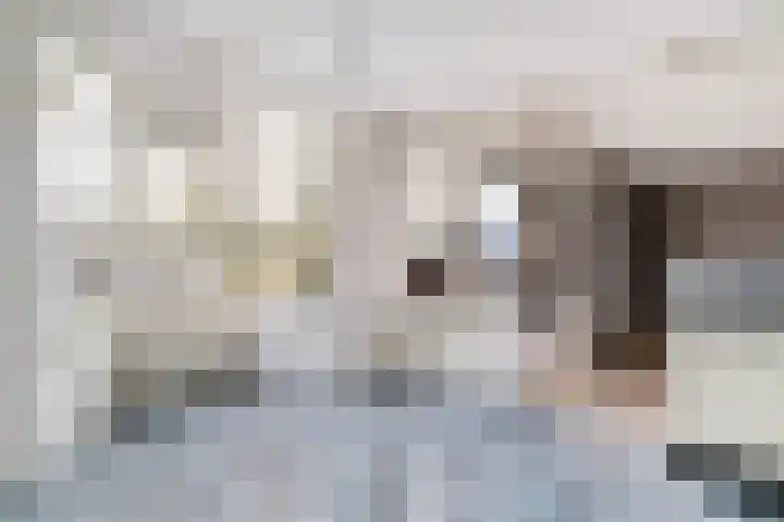Jufferkade 22 Rotterdam thumbnail 16