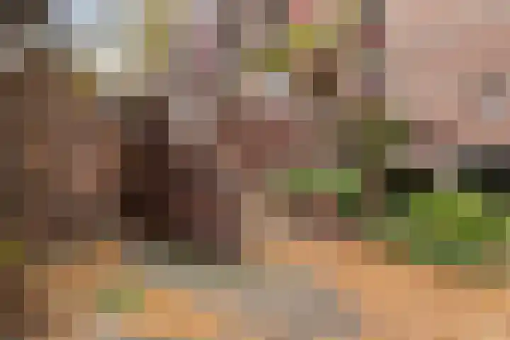 Jufferkade 22 Rotterdam thumbnail 31