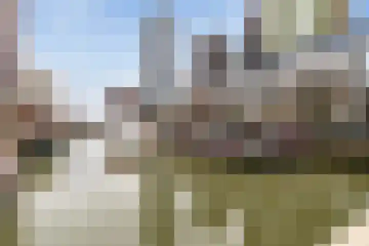Jufferkade 22 Rotterdam thumbnail 34
