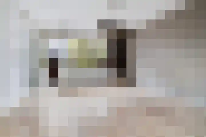 Jufferkade 22 Rotterdam thumbnail 4