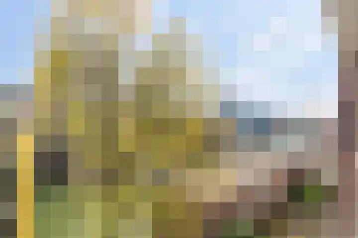 Jufferkade 22 Rotterdam thumbnail 9