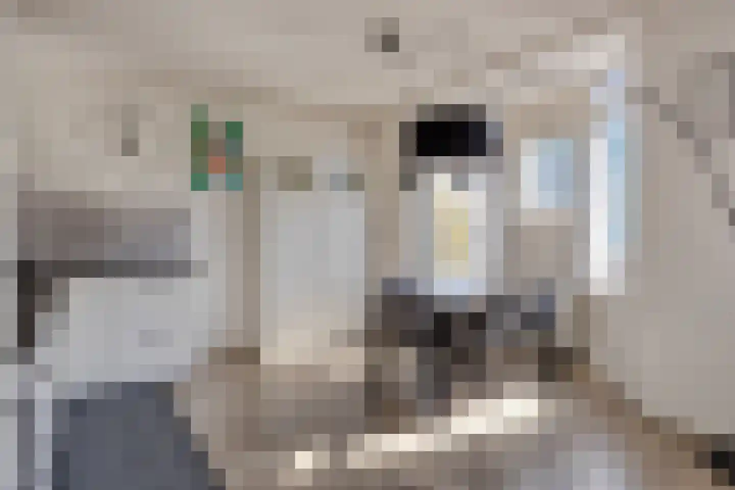 Jufferkade 24 Rotterdam thumbnail 13