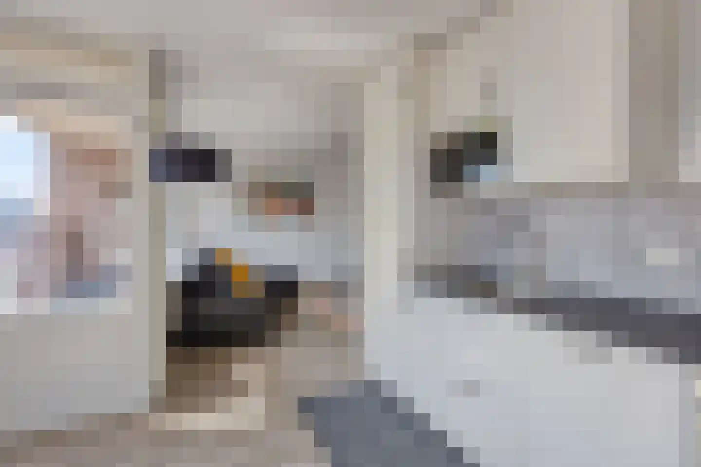 Jufferkade 24 Rotterdam thumbnail 15