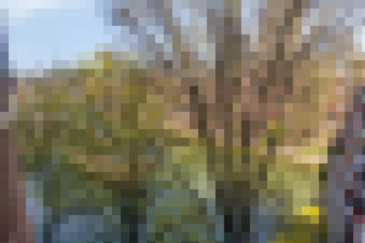 Jufferkade 24 Rotterdam thumbnail 27
