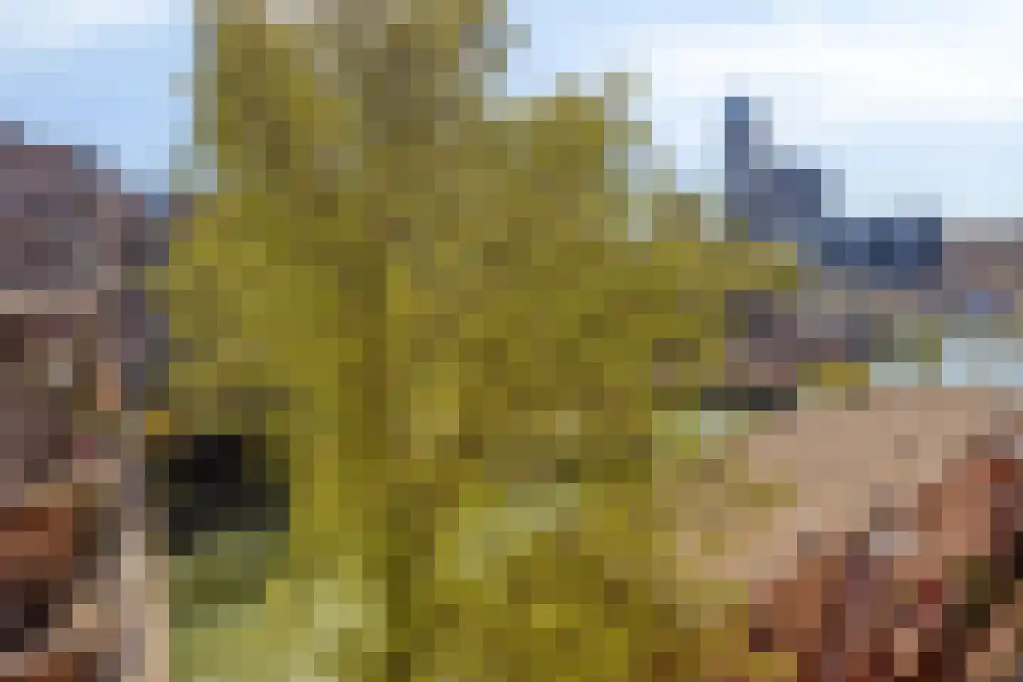 Jufferkade 24 Rotterdam thumbnail 30