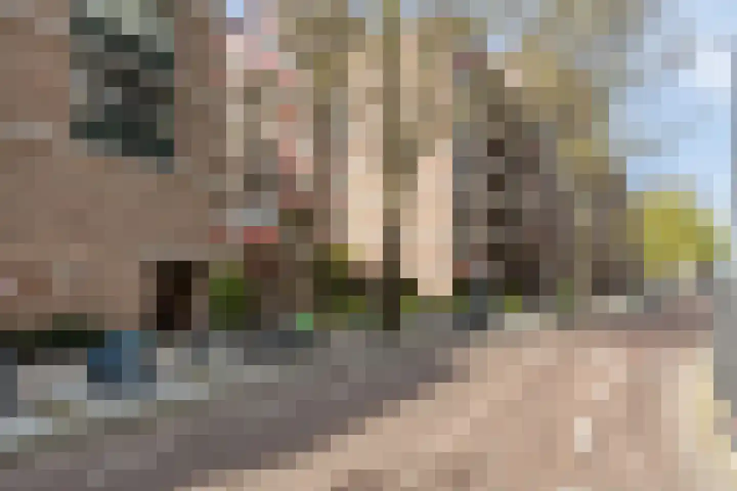 Jufferkade 24 Rotterdam thumbnail 42