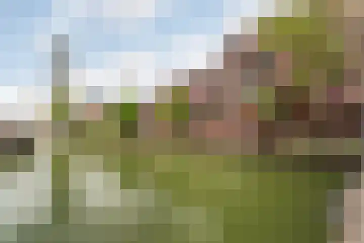 Jufferkade 51 Rotterdam thumbnail 28