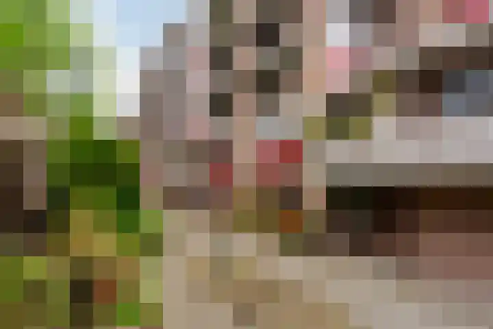 Jufferkade 51 Rotterdam thumbnail 5