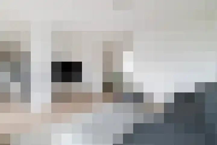 Jufferkade 52 Rotterdam thumbnail 10