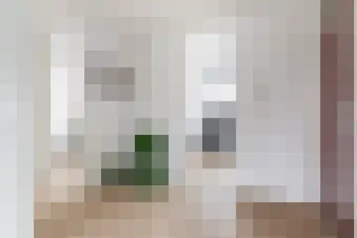 Jufferkade 52 Rotterdam thumbnail 17