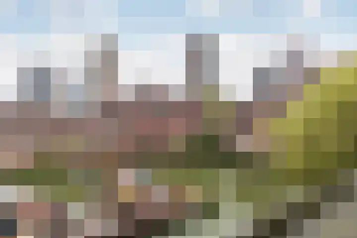 Jufferkade 52 Rotterdam thumbnail 20