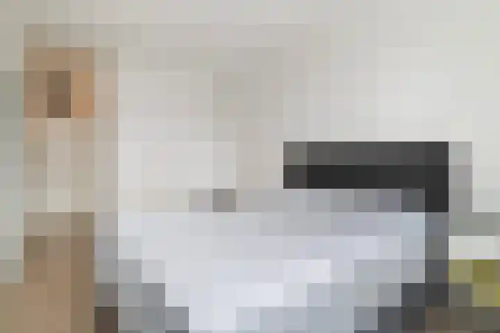 Jufferkade 52 Rotterdam thumbnail 24