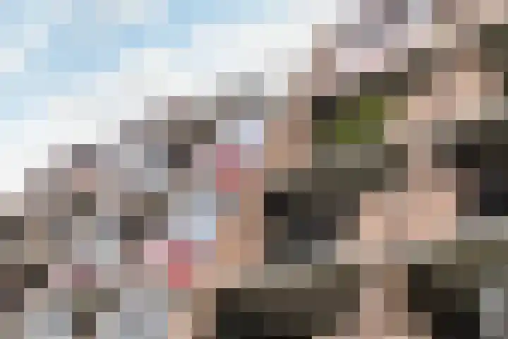 Jufferkade 52 Rotterdam thumbnail 29