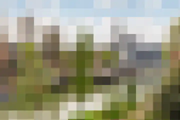 Jufferkade 52 Rotterdam thumbnail 31
