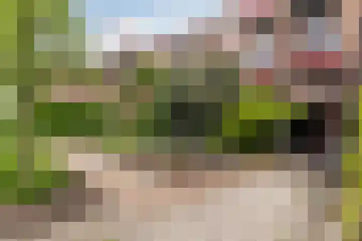 Jufferkade 52 Rotterdam thumbnail 32