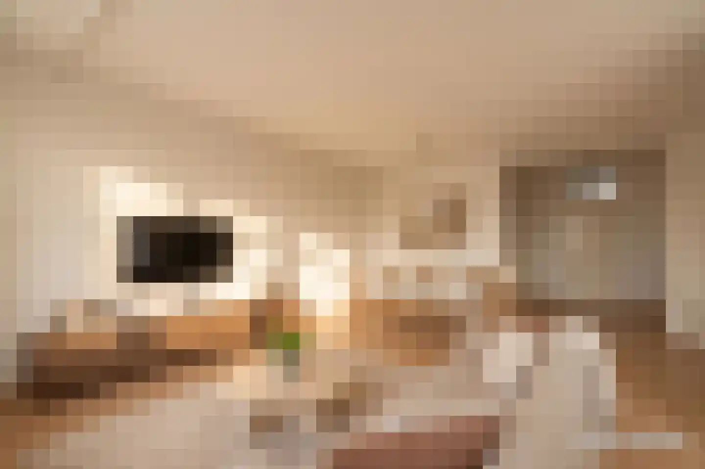 Jufferkade 88 Rotterdam thumbnail 5