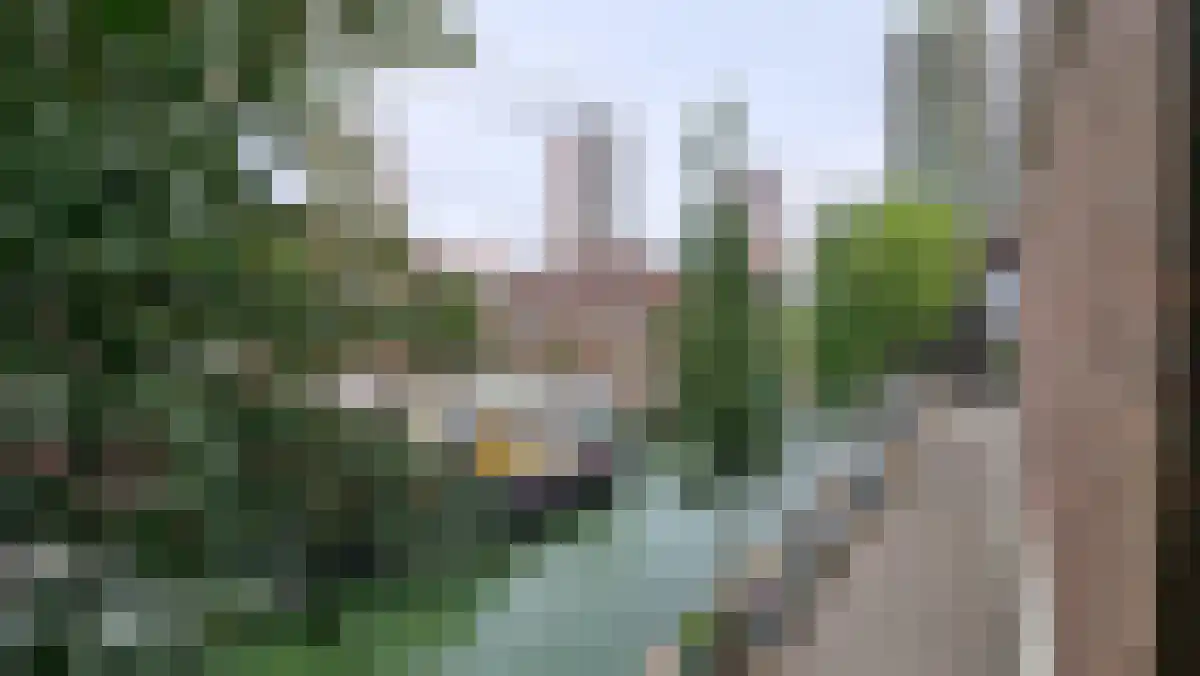 Jufferkade Rotterdam thumbnail 6