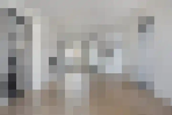 Jufferlaan 12 Son en Breugel thumbnail 12