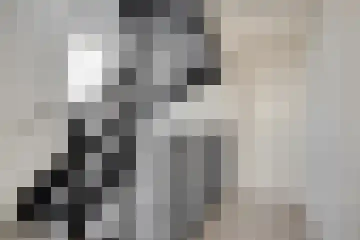Jufferlaan 12 Son en Breugel thumbnail 27