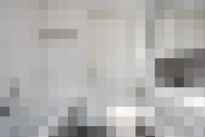 Jufferlaan 12 Son en Breugel thumbnail 36