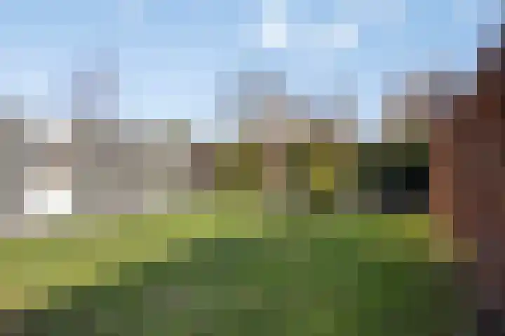 Jufferlaan 12 Son en Breugel thumbnail 50