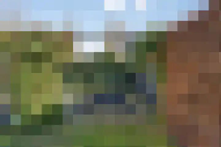 Jufferlaan 12 Son en Breugel thumbnail 52