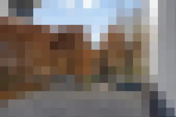 Jufferlaan 12 Son en Breugel thumbnail 54