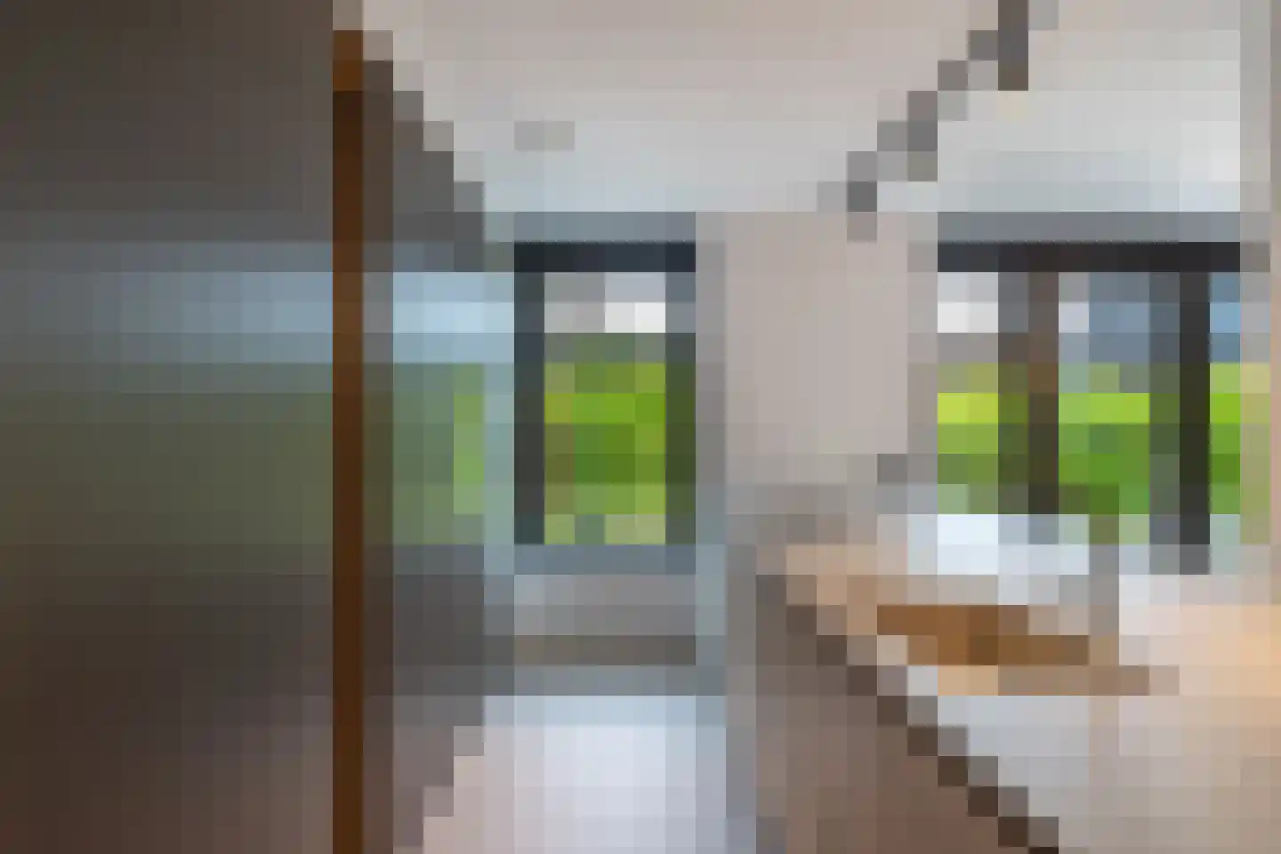Jufferlaan 18 Blaricum thumbnail 15