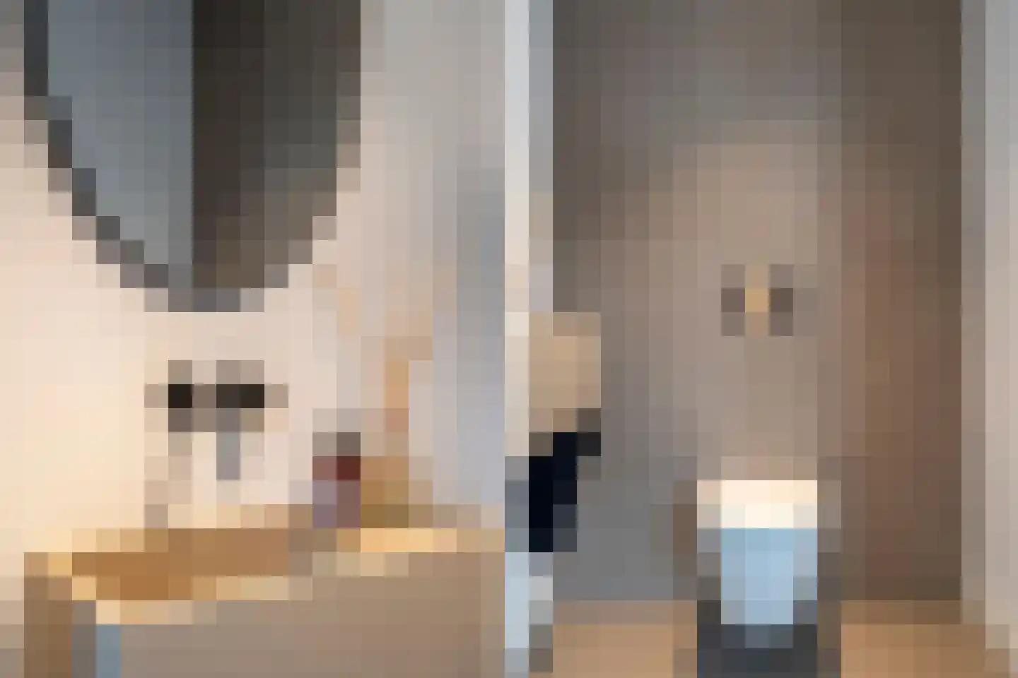Jufferlaan 18 Blaricum thumbnail 8