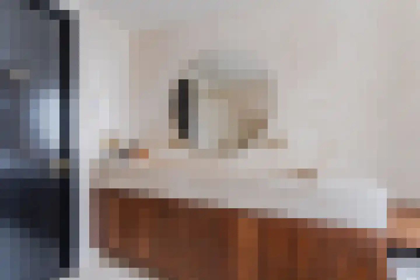 Jufferlaan 31 Blaricum thumbnail 49