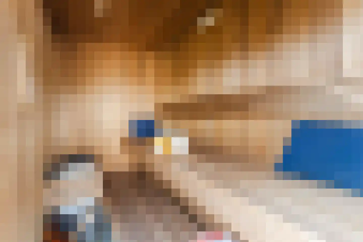 Jufferlaan 31 Blaricum thumbnail 74