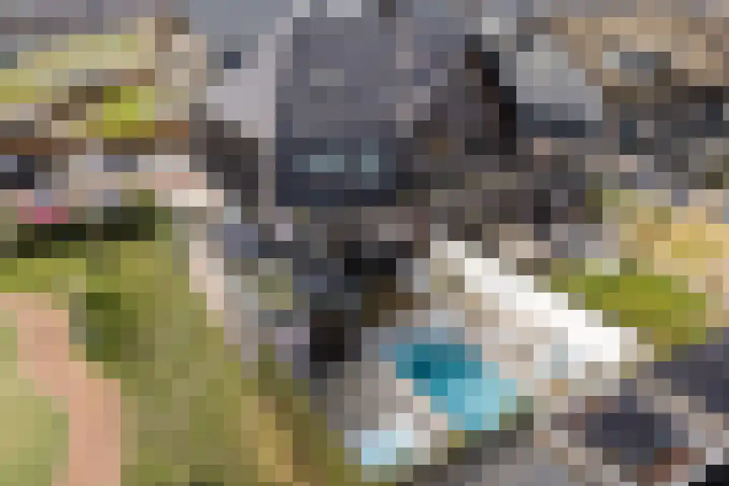 Jufferlaan 31 Blaricum thumbnail 86